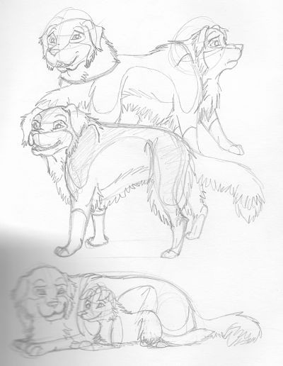 freesia sketches