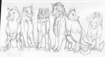 group 'o shepherds