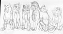 group 'o shepherds