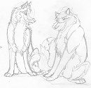 jasper an' saphrina sketch