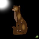 Balto :3
