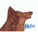 Balto