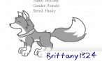 brittany1324