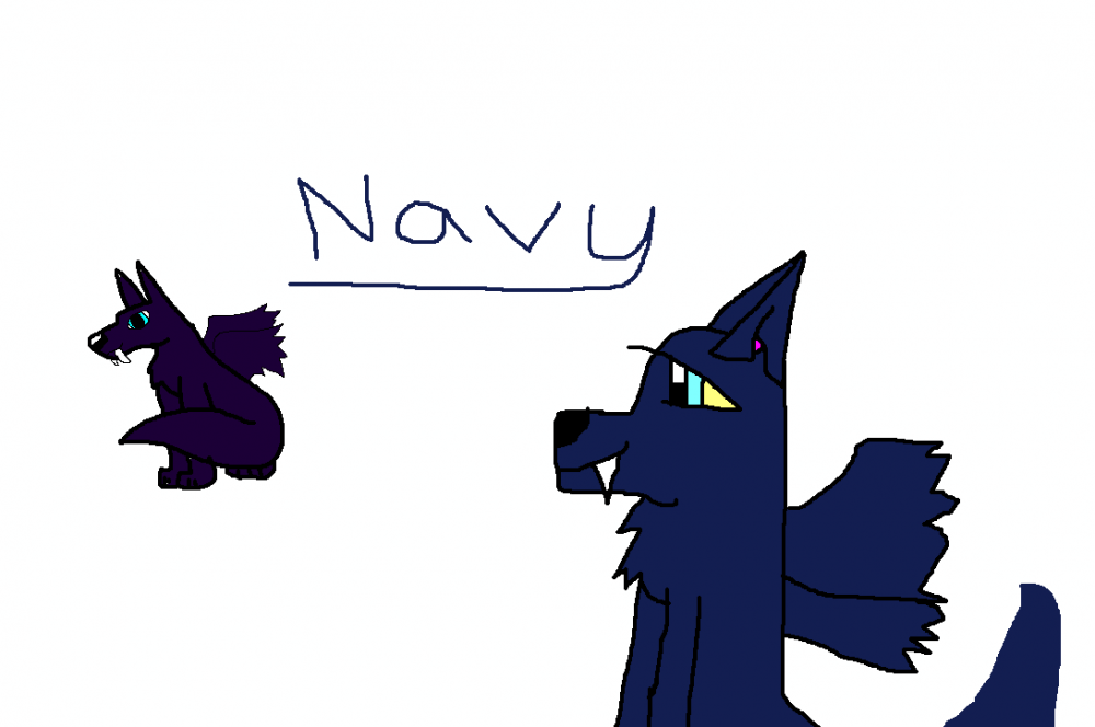 Navy.