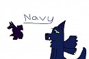 Navy.