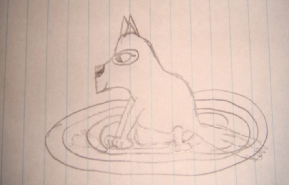 Dog on a rug