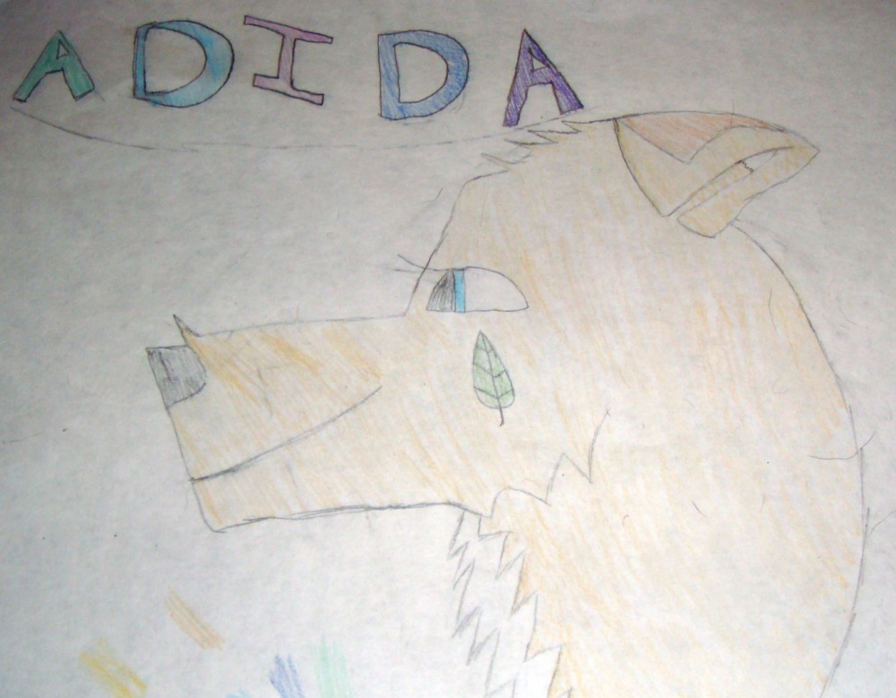 Adida, new char! I'm makeing a contest for her.