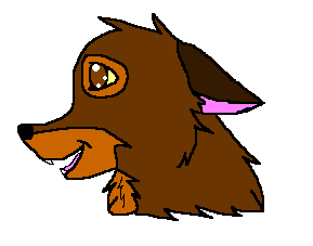 Balto!