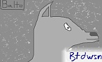 btdwsn