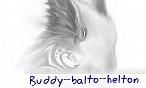 buddy_balto_helton