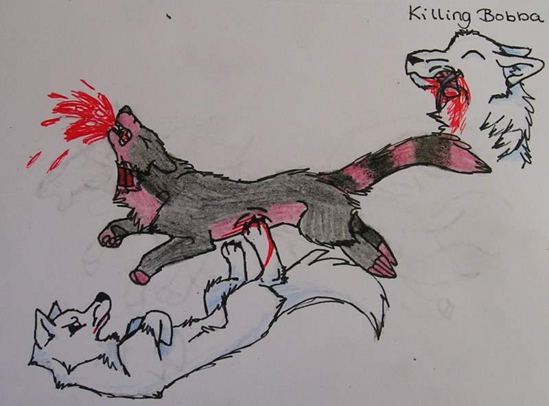 killing bobba