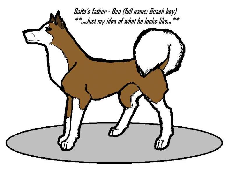 balto's father