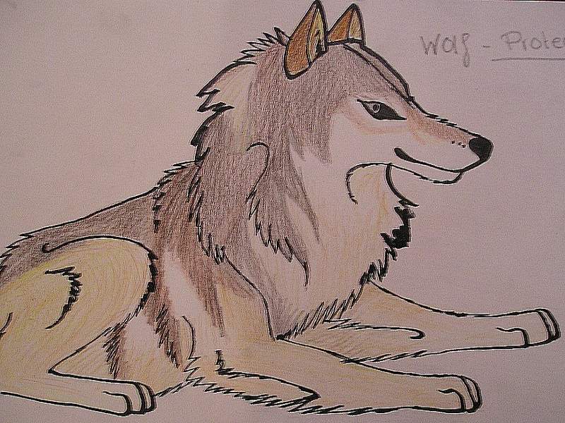 wolf_protector