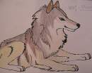 wolf_protector