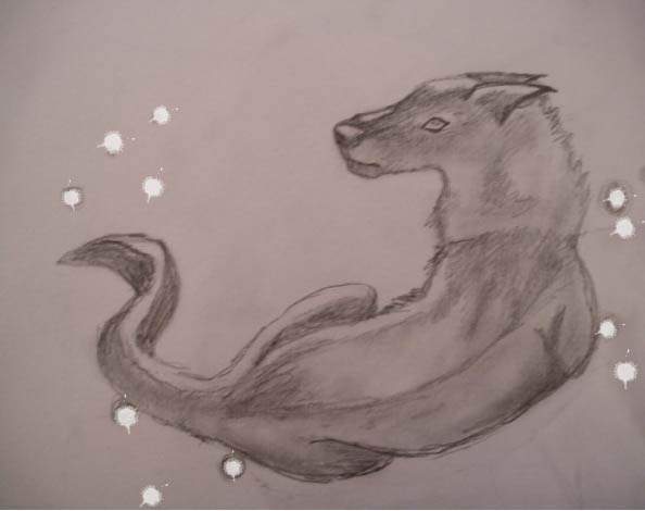 inspired dog....
