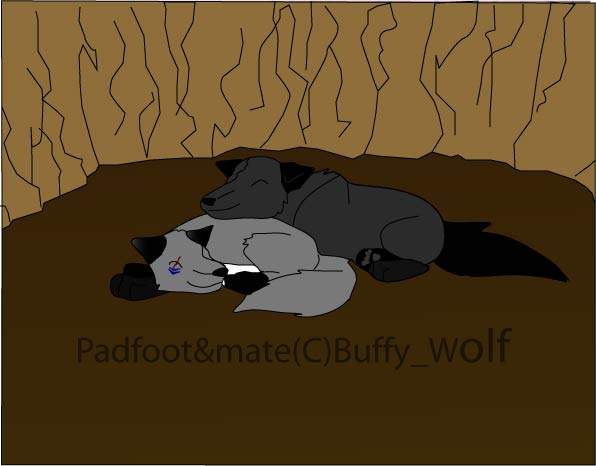 padfoot and her mate