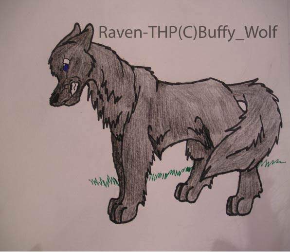 raven-THP