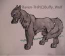 raven-THP