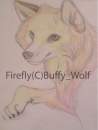 firefly.... detailed