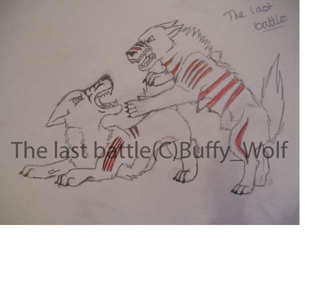 the last battle - unfinished