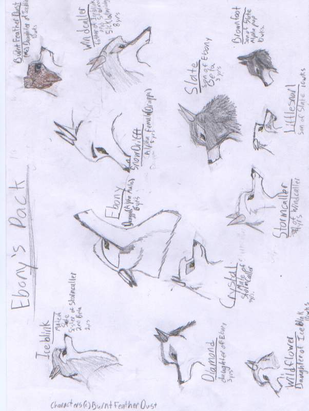 Ebony's pack