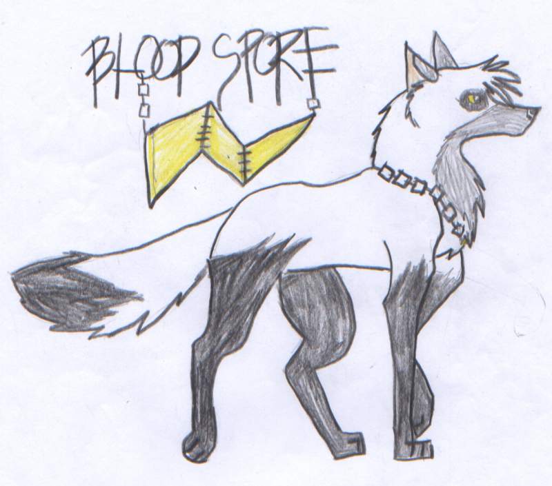 Blood spore