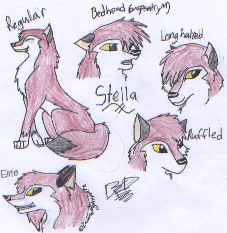Stella