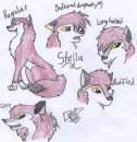 Stella