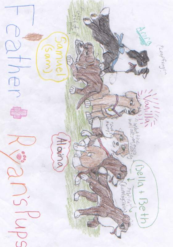 Puppies