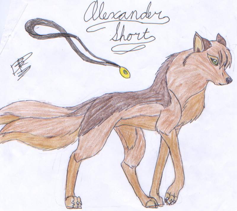 Alexander