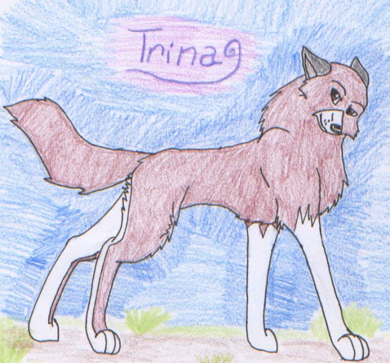 Trina