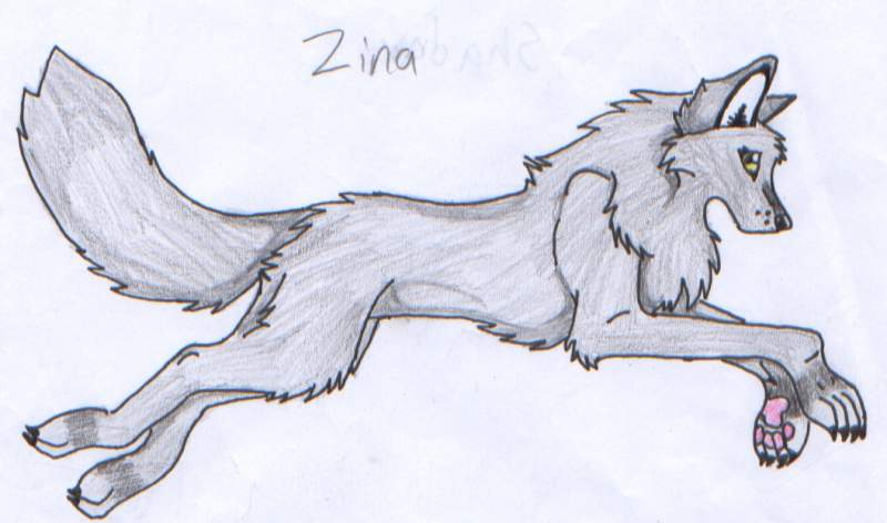 Zina