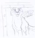Balto