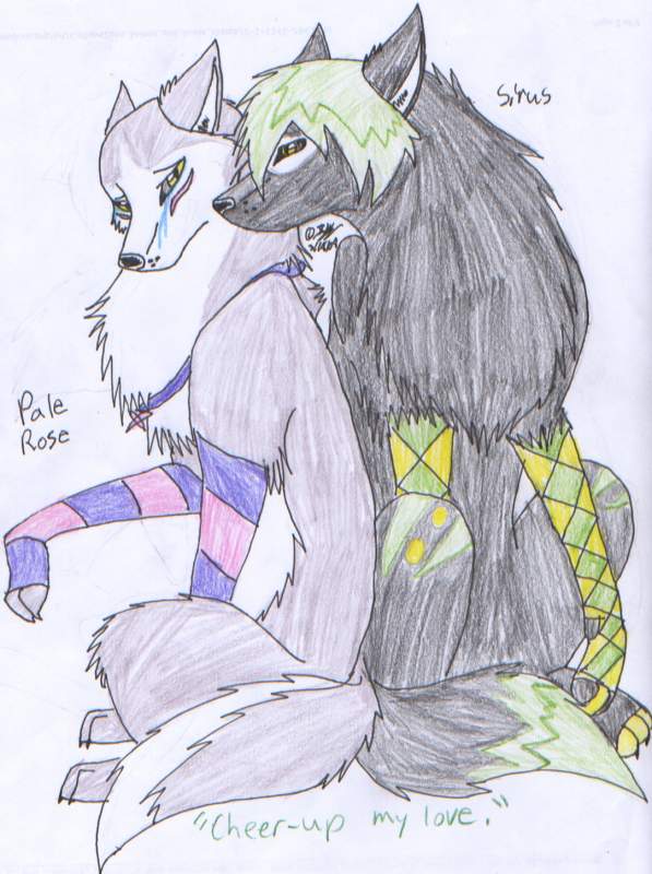 Pale Rose and Sirus