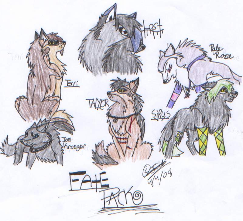 Fate Pack