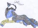 Colbalt