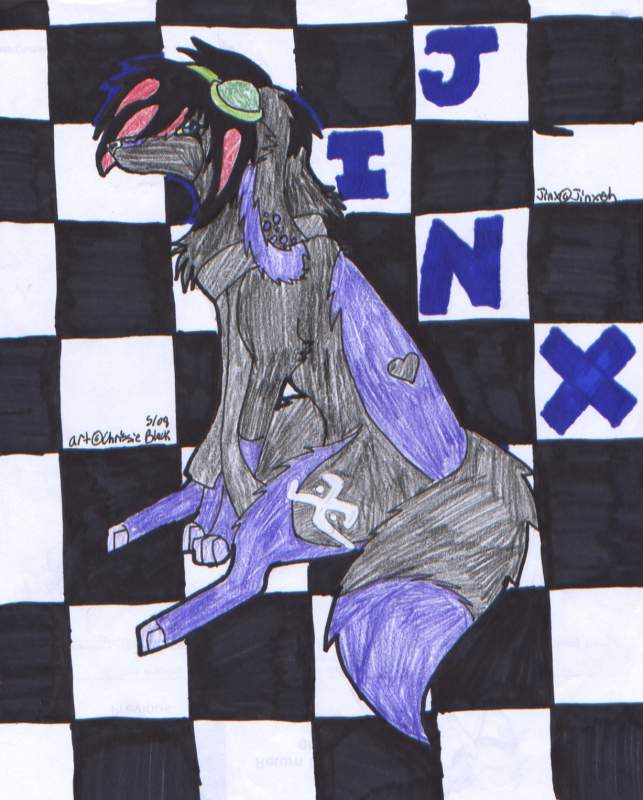 Contest winner!