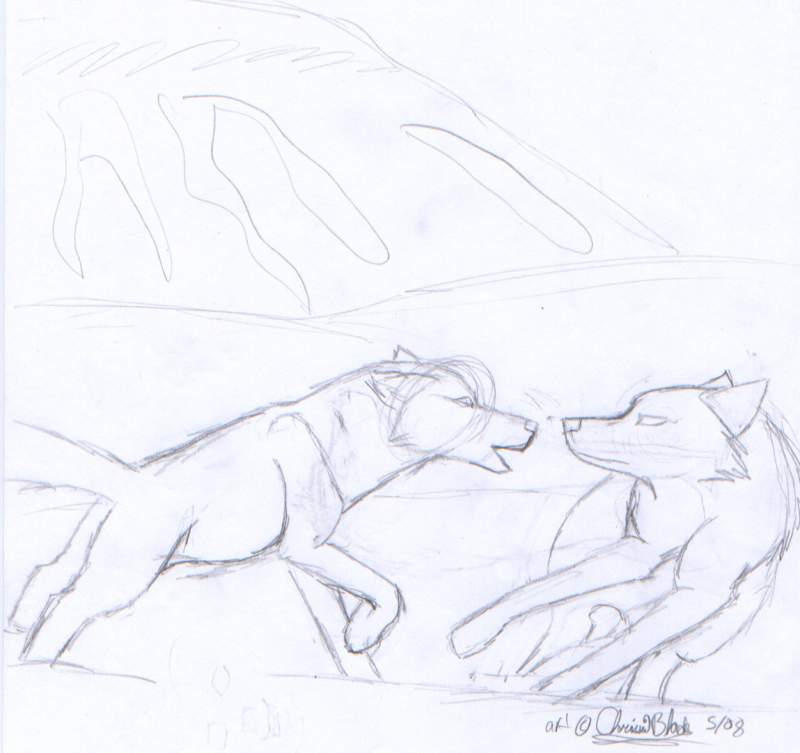 sketch