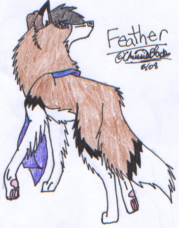 Feather