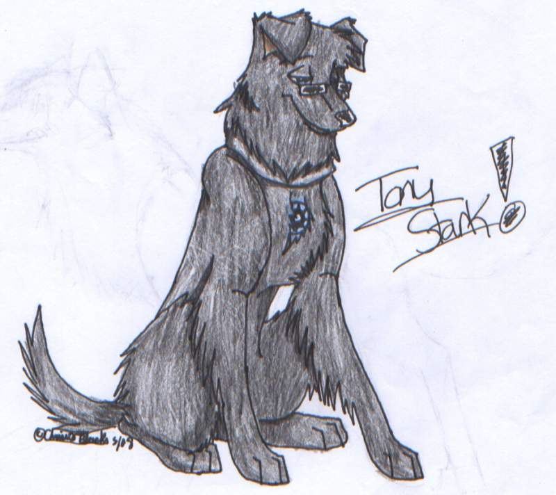 Tony Stark