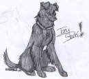 Tony Stark