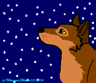 Snow-gazing