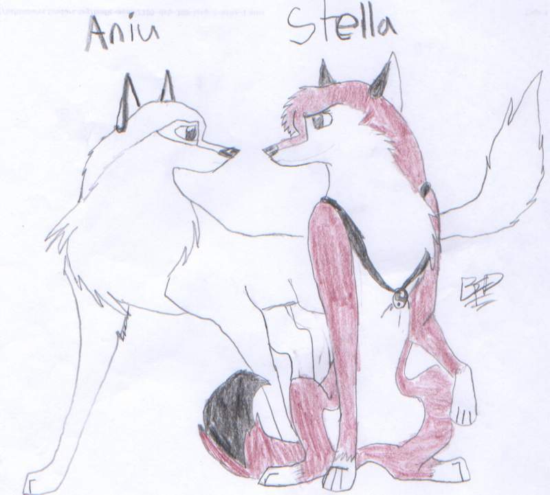 Aniu and Stella