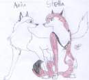 Aniu and Stella