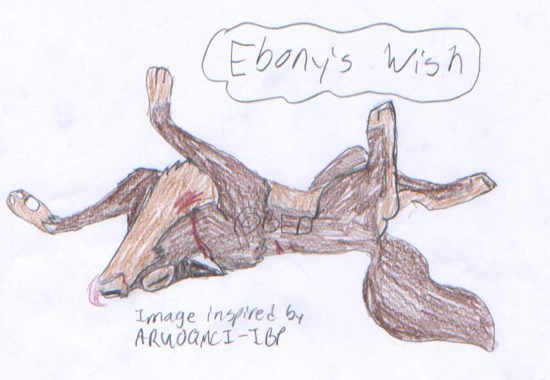 Ebony's Wish