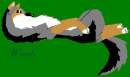 Weasle in paint