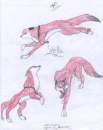 This is a disappearo