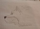 Balto(uncolored in my style)
