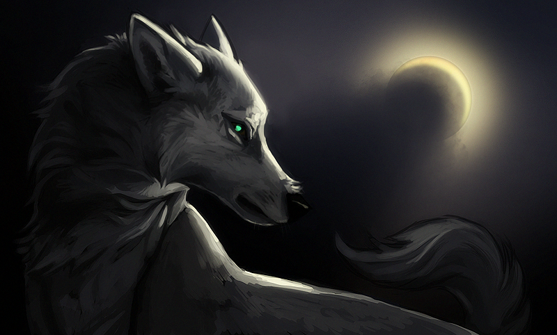 woof wolf