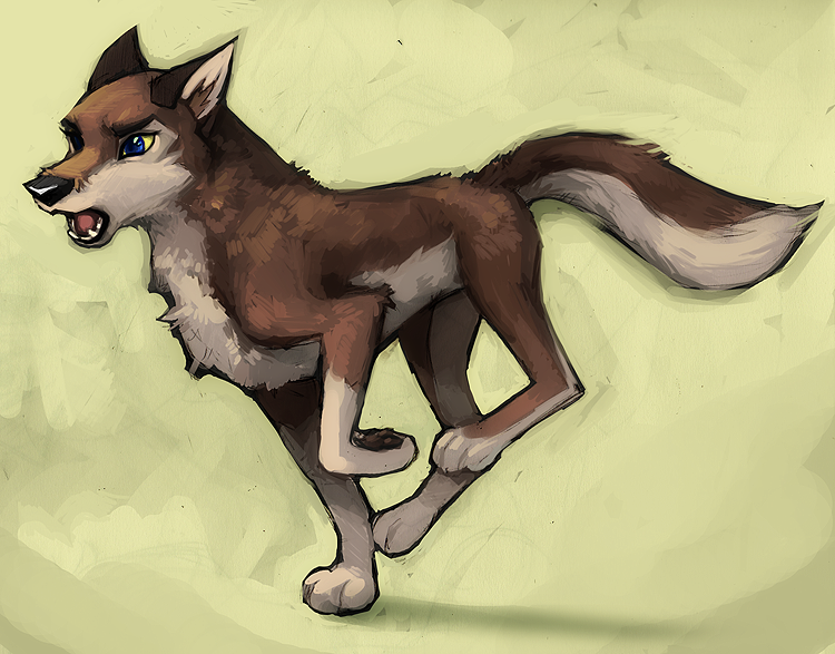 wolf-dog-pup 25%